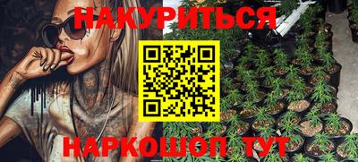 альфа пвп Новодвинск