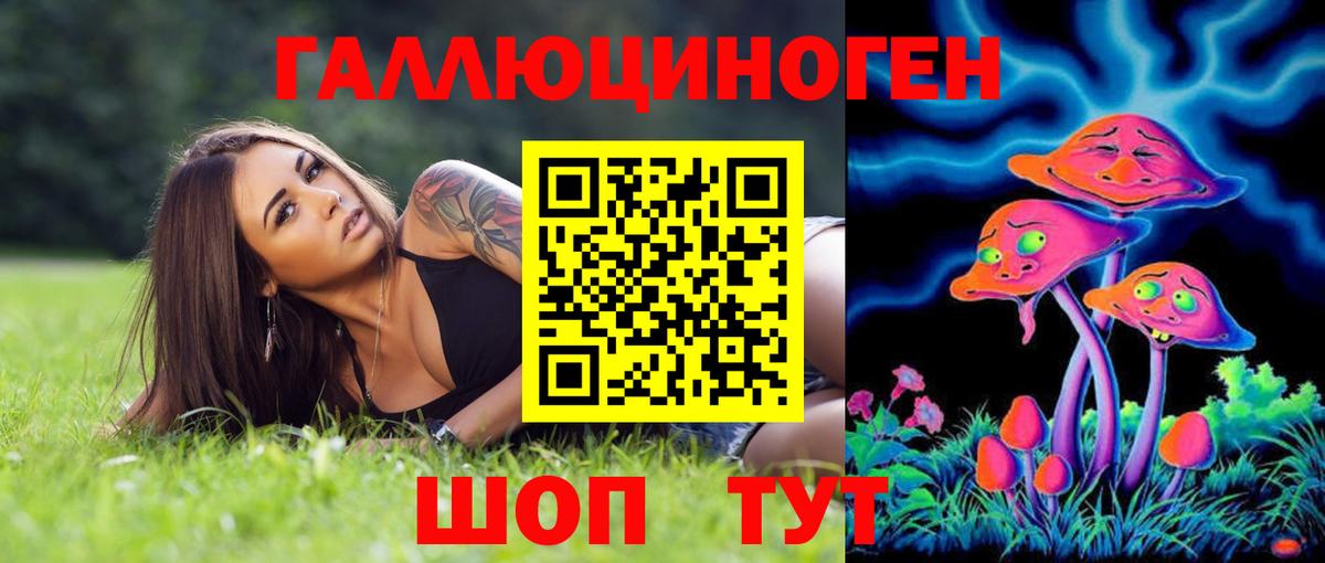 Псилоцибиновые грибы Cubensis Усолье-Сибирское