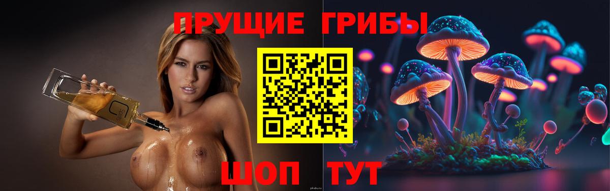 Усолье-Сибирское  Псилоцибиновые грибы Magic Shrooms  Вход с VPN 